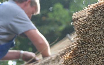 professional The Fox thatchers